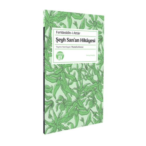 buyuyenayyayinlari.com.tr